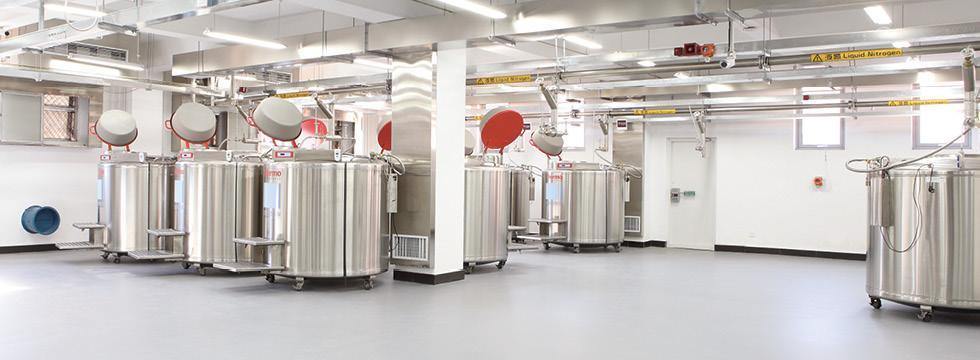 Choosing Flooring For Laboratory And Testing Facilities