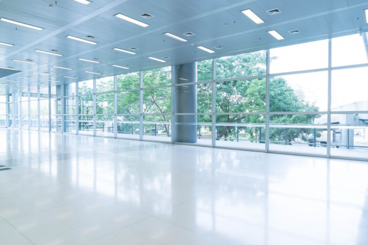 The Impact of Environmental Conditions